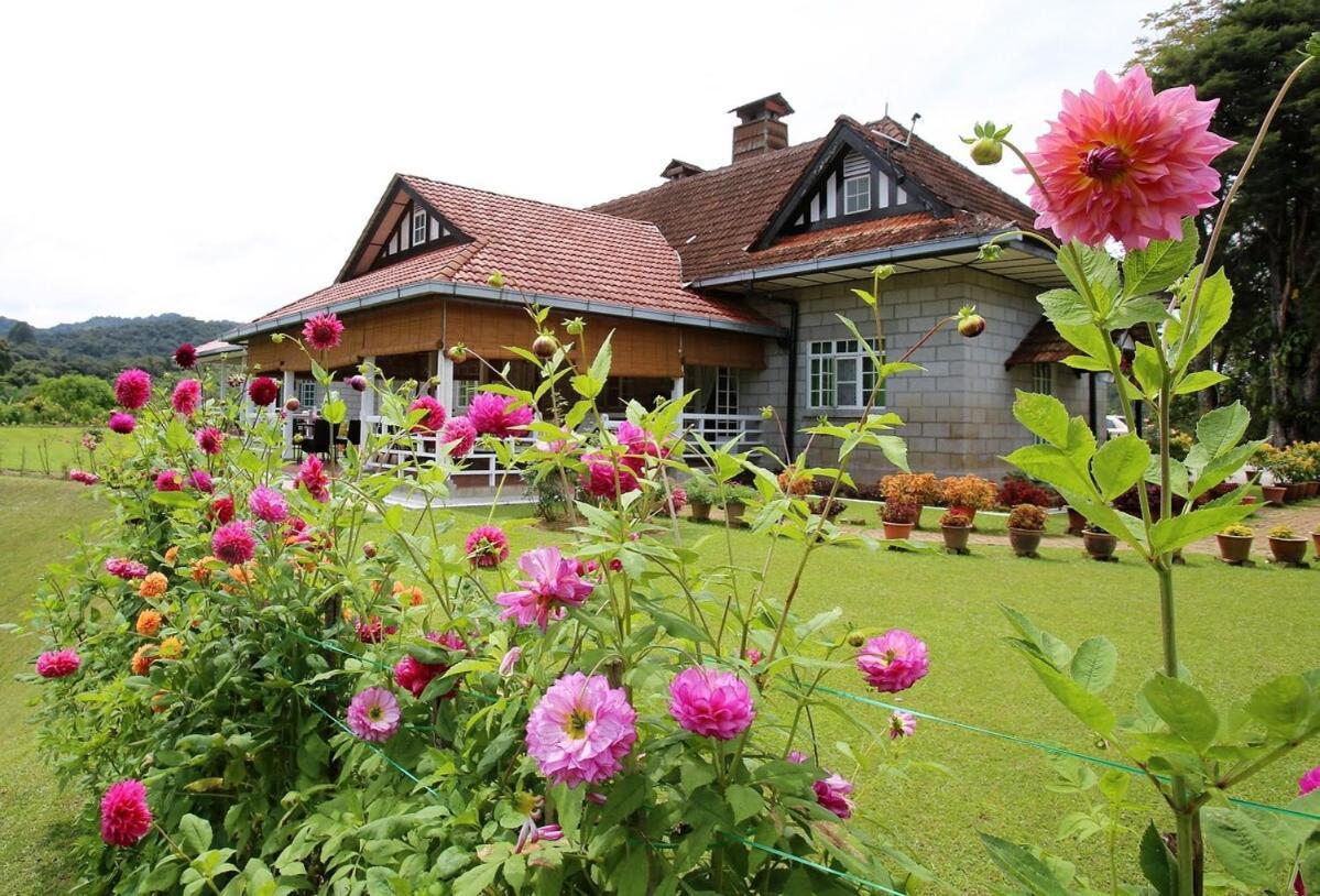 Bukit Lowick Bungalow タナ・ラタ エクステリア 写真
